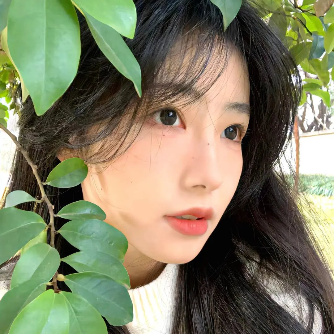 天涯寻芳踪